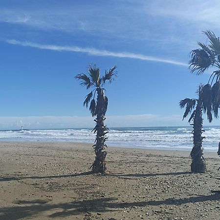 Cap D'Agde Port Lano T2 Clim, Piscine, Tennis Et Parking Bagian luar foto