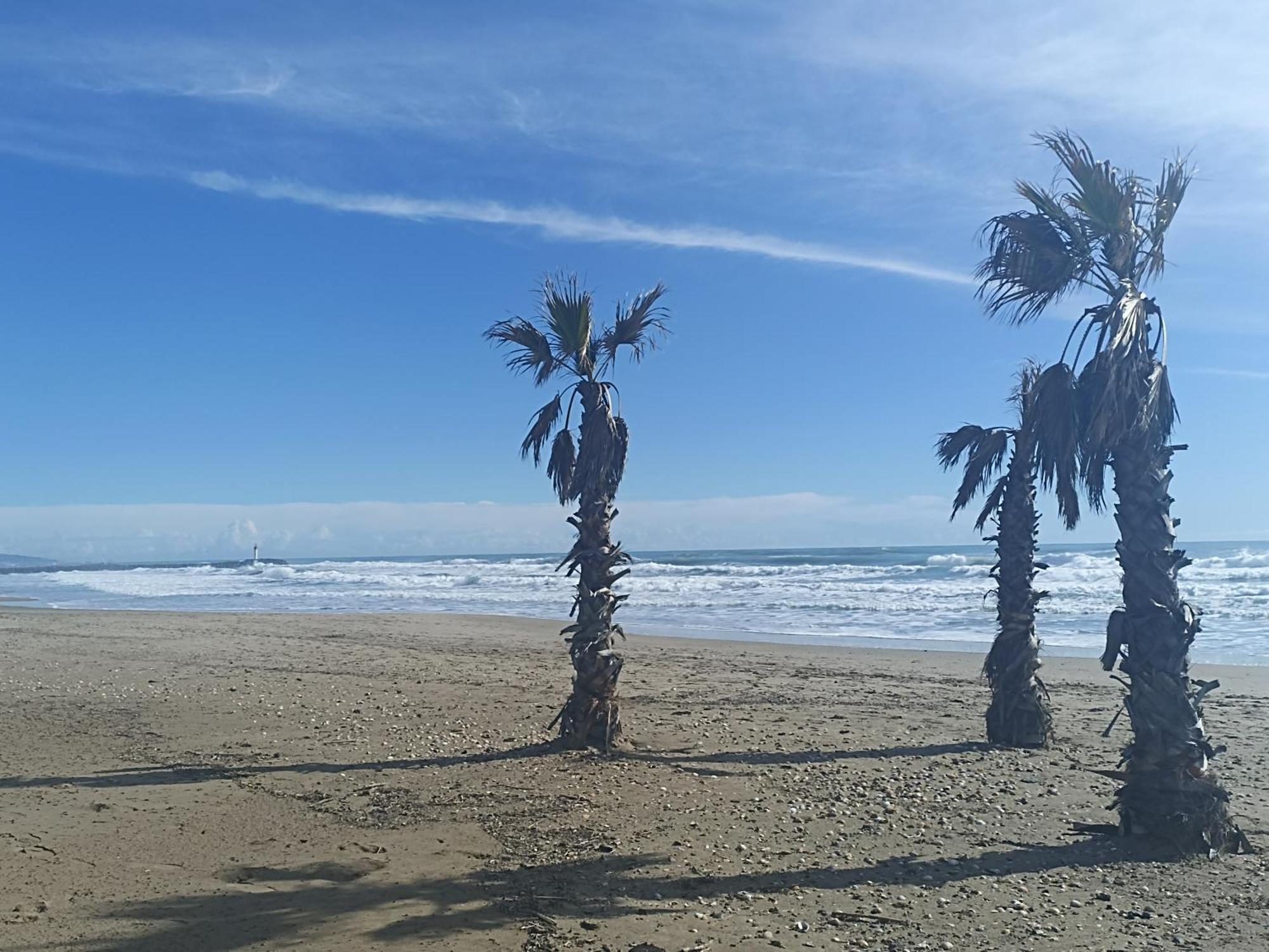 Cap D'Agde Port Lano T2 Clim, Piscine, Tennis Et Parking Bagian luar foto